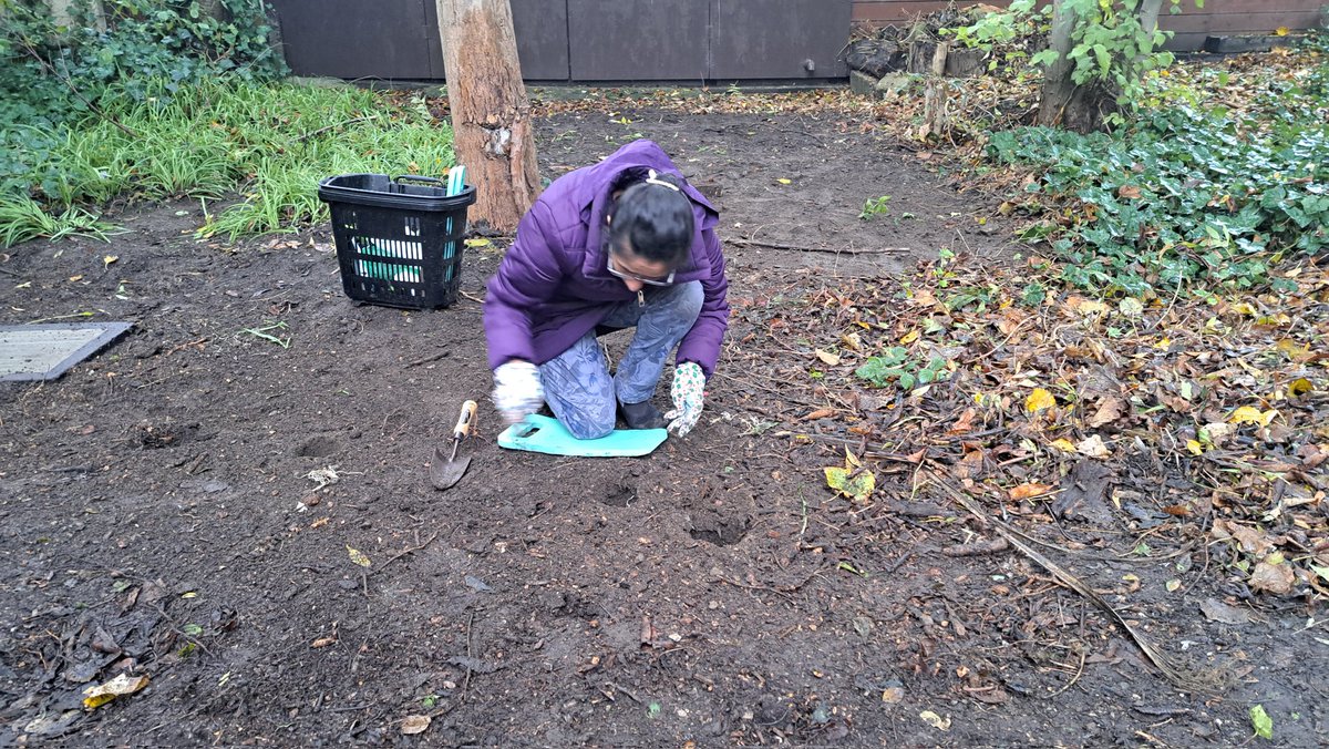 Bulb planting today was quite tough with the predicted 'light rain' being more substantial than that. Thanks to Sarah from @GGTowerHamlets on wood anemones, Gail, Neel, Abdul and Andy on snowdrops, bluebells amd winter aconites. Fingers crossed for a good show in the Spring.