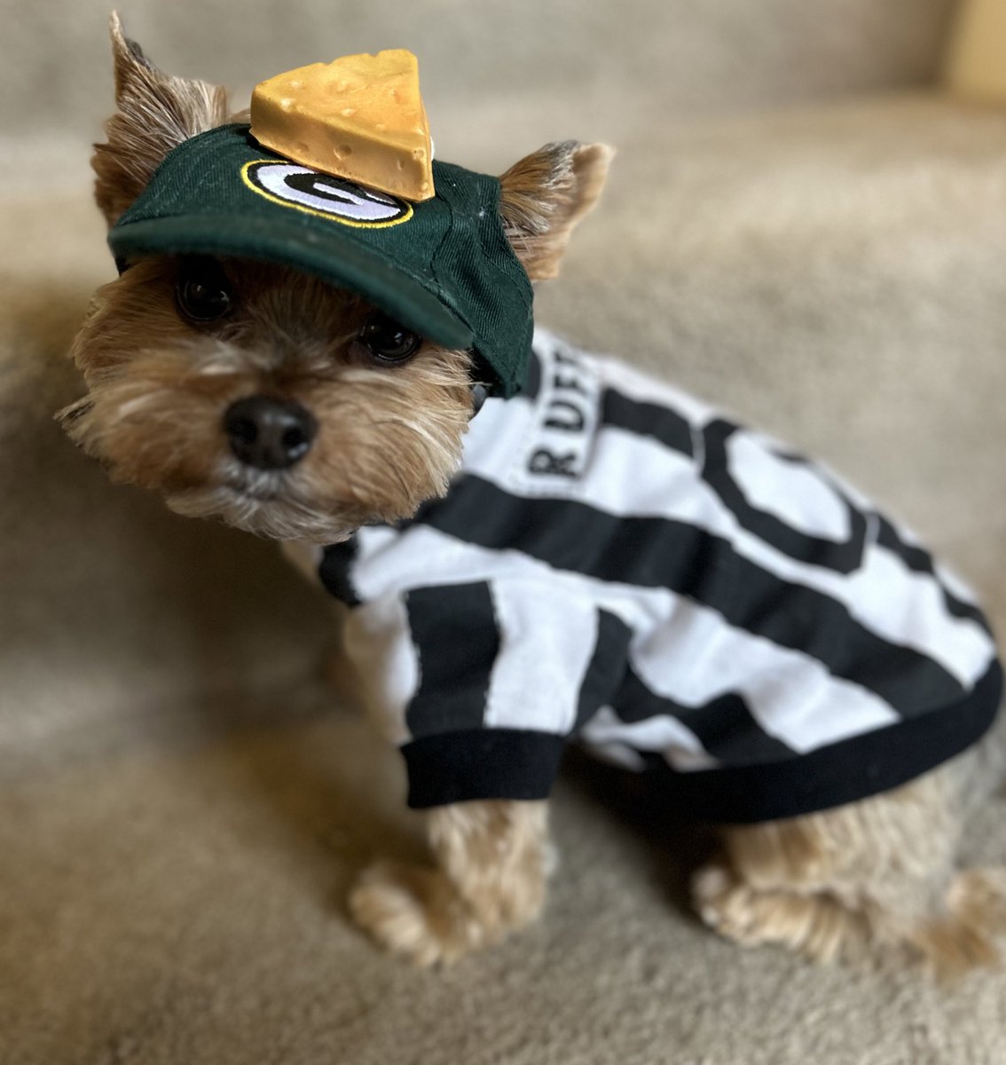 LacrosseBailey's tweet photo. Channeling my inner “rufferee” and hoping for a win … @packers #GoPackGo https://t.co/sD8VpgMtXp