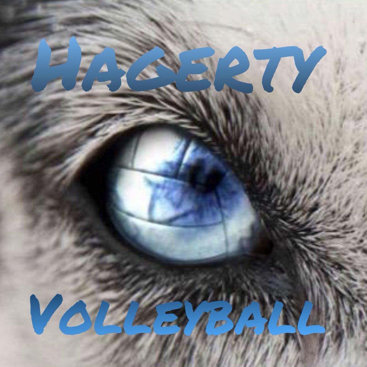 GVB - Hagerty will face Venice HS in the FHSAA 7A State Championship Game at Polk State College on Saturday at 7PM. Go Huskies!!