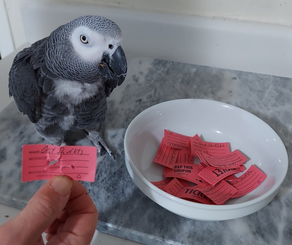 alexfoundation's tweet photo. The winner of the Grey mask raffle is Orit Shuflita! https://t.co/l2CjvxgTae