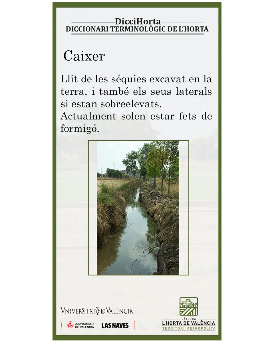 La primera entrega d'aquesta nova sèrie del #diccihorta  que anirà sobre el nostre sistema de reg. 
Vos presentem la definició de Caixer! 🤔
