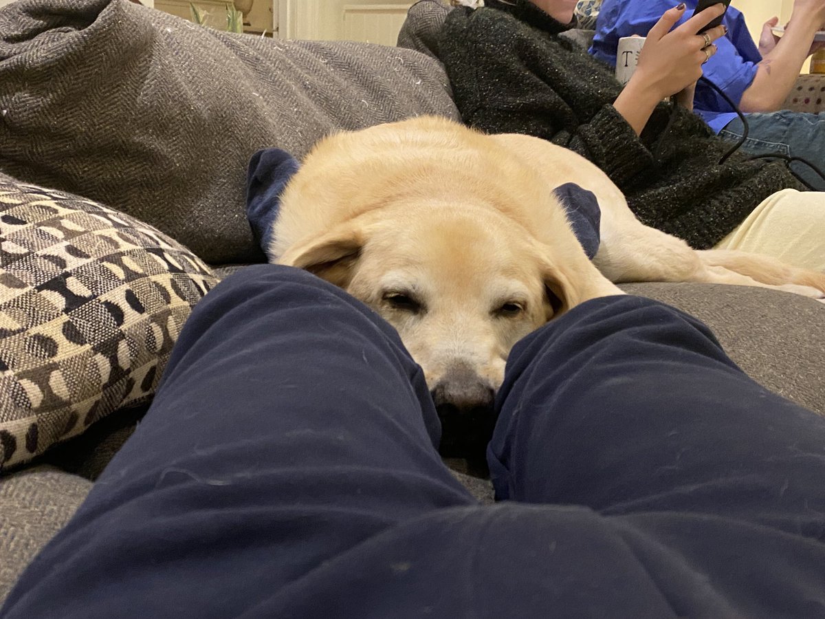 One of the Family tweet media