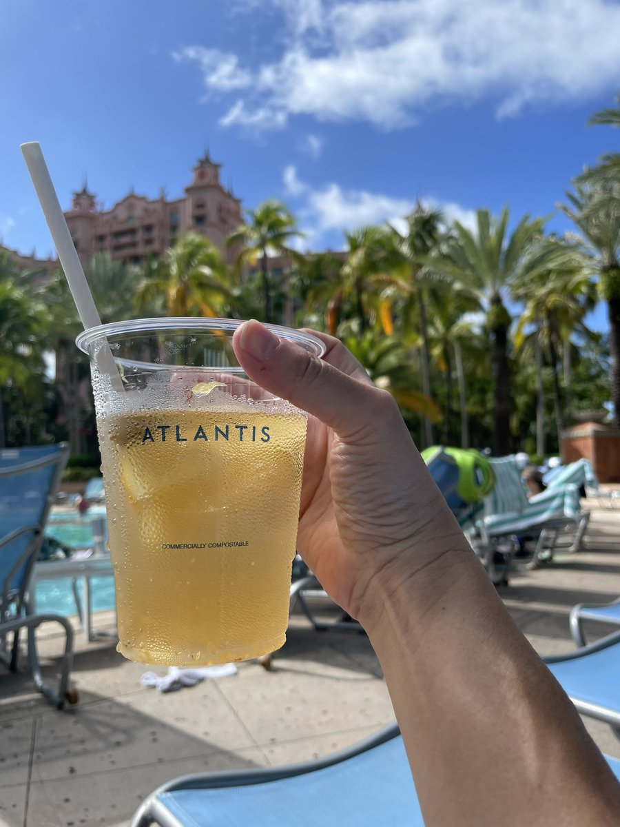 annalise sorrentino faap facep tweet media