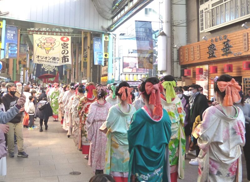 宮魁道中・着物美人