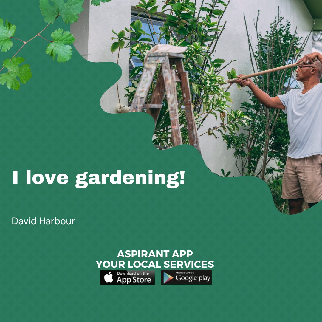Aspirant App: Your Local Services tweet media