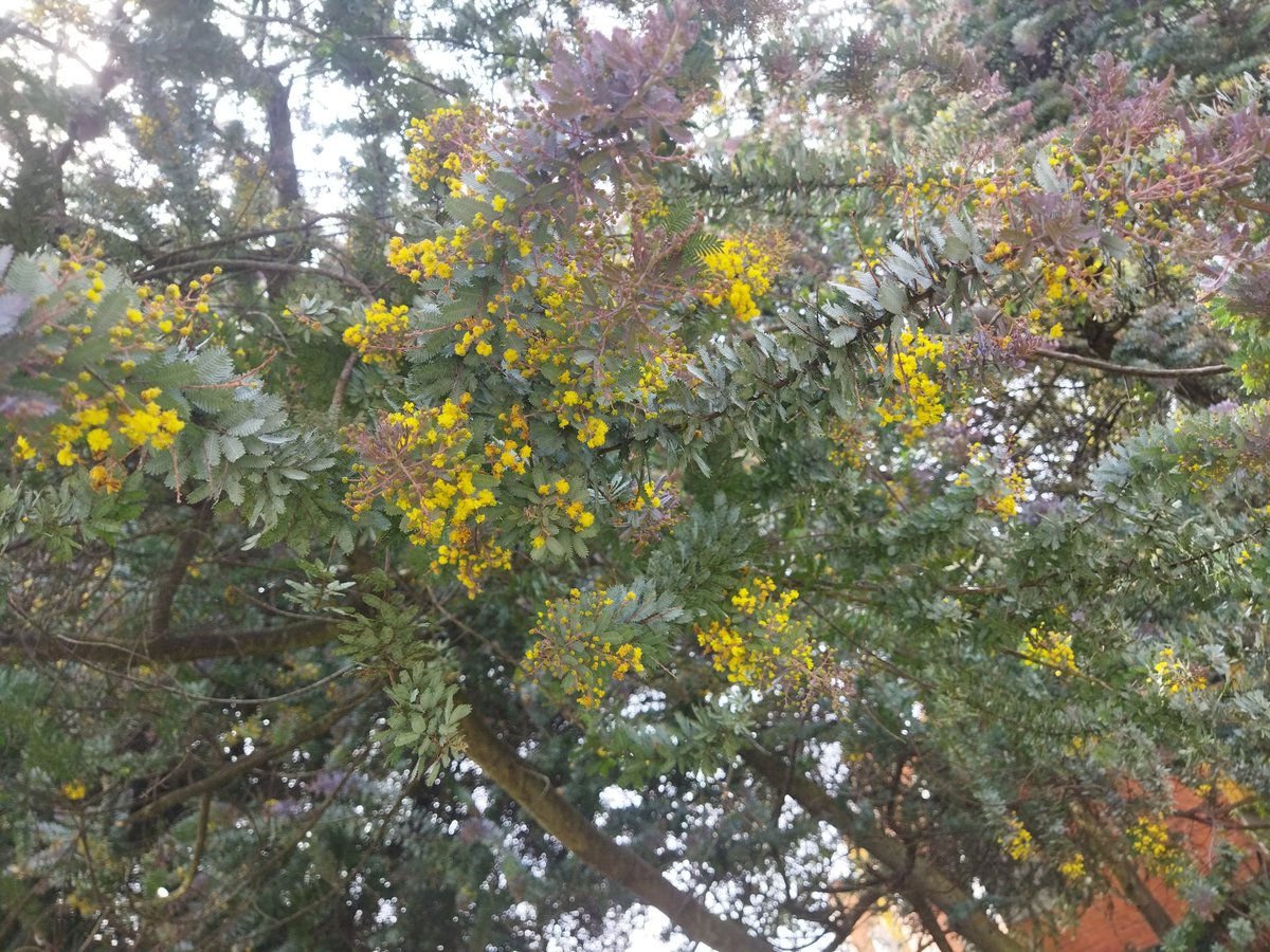 Ingrid Tatiana Gonzalez Ruiz tweet media