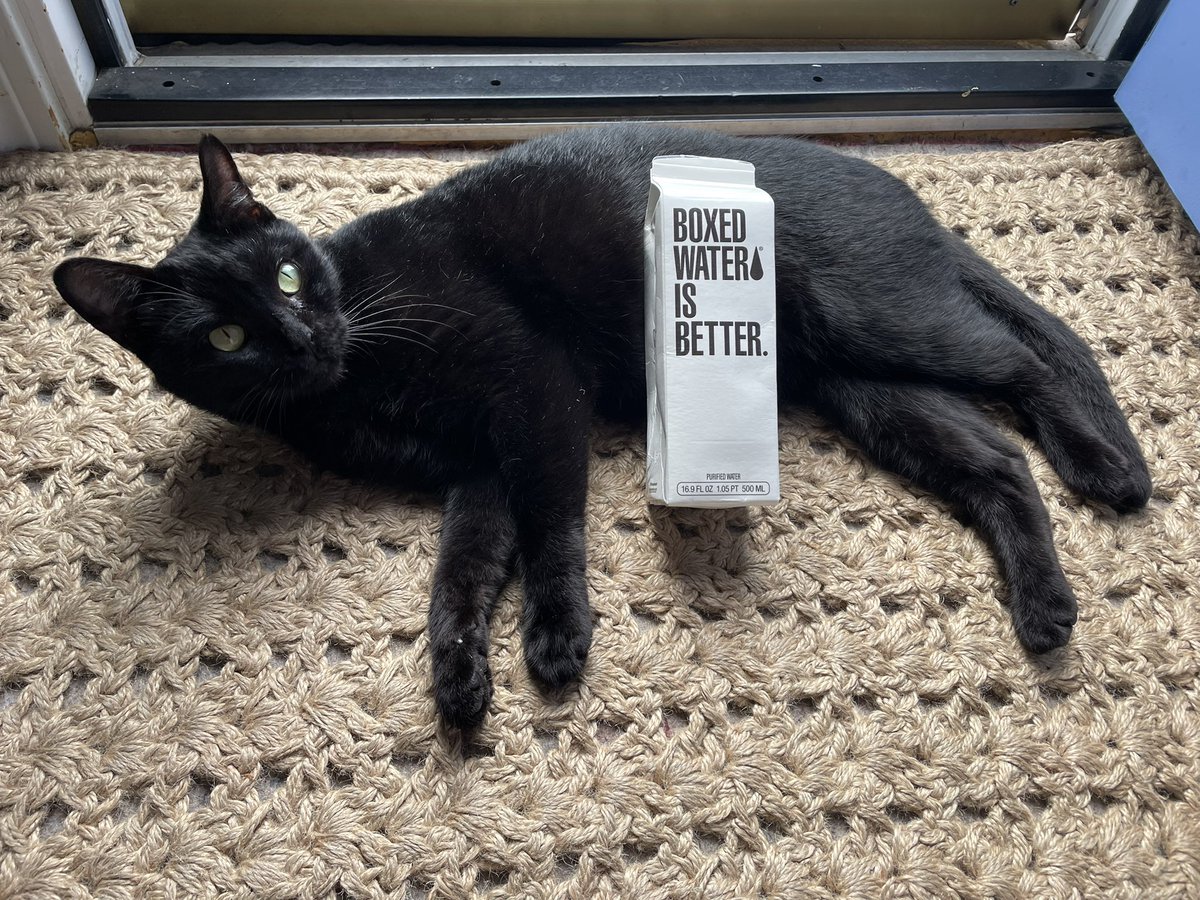 Cosmo is chilling with boxed water! <a href="/boxedwater/">Boxed Water</a> #BetterPlanet