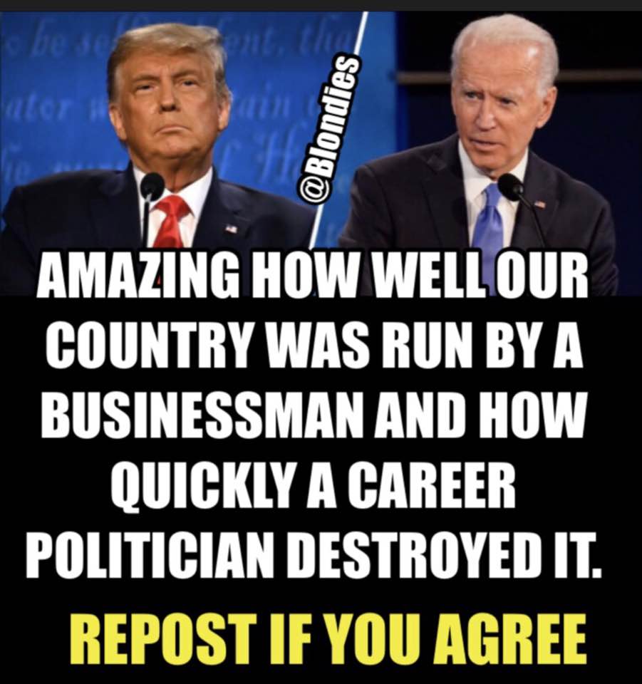 <a href="/POTUS/">President Donald J. Trump</a>