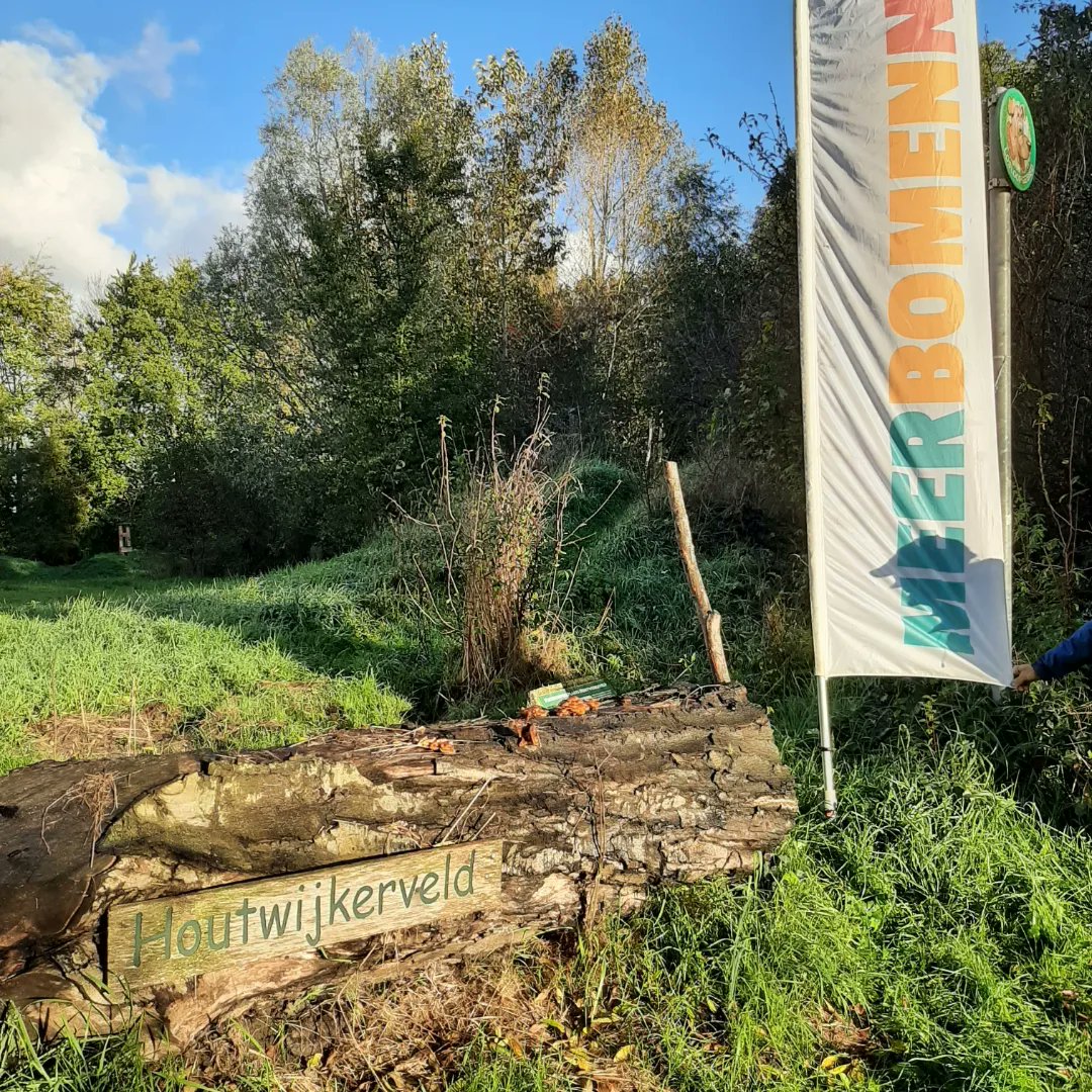 diebodem's tweet photo. Een mooi weekend bomen/zaailingen geoogst op twee locaties in Hoofddorp 
@MeerbomenN @SMeergroen https://t.co/2GxJFJdg53