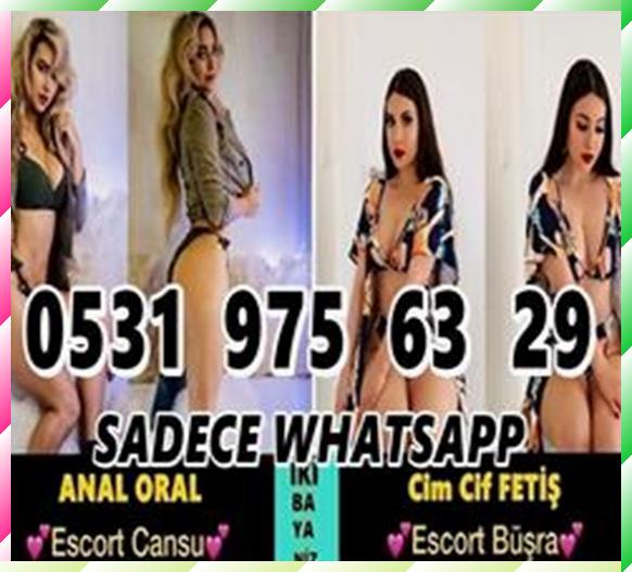 #Kocaeli (ȇ̈s̑̈c̑̈ȏ̈ȓ̈t̑) E͏vl͝i̱̺̯ ͎͉Ç̯͖͠i͟ft Deprem  Suçbilim Diyagonal Gecekonducu