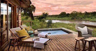 travelsbymark's tweet photo. Lion Sands Narina Lodge offers chic luxurious treehouse accommodation in the Kruger Park in nine suites with panoramic Sabie River views. 💛
@sa_online #safari 
#𝑾𝒊𝒔𝒉𝒚𝒐𝒖𝒘𝒆𝒓𝒆𝒉𝒆𝒓𝒆

Contact our consultants for more information:
https://t.co/Wq7pnYNrha https://t.co/q7b03koLub