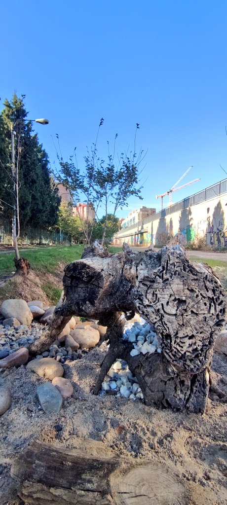 miki_barreto's tweet image. @SoydeZaragoza quiero dar las gracias desde aquí (tb lo hice en persona) al jardinero anónimo que de manera altruista ha arreglado el terreno que hay junto a la prolongación de Tenor Fleta. Creo que debería haberlo hecho el @zaragoza_es peeeero. Las fotos no hacen justicia...