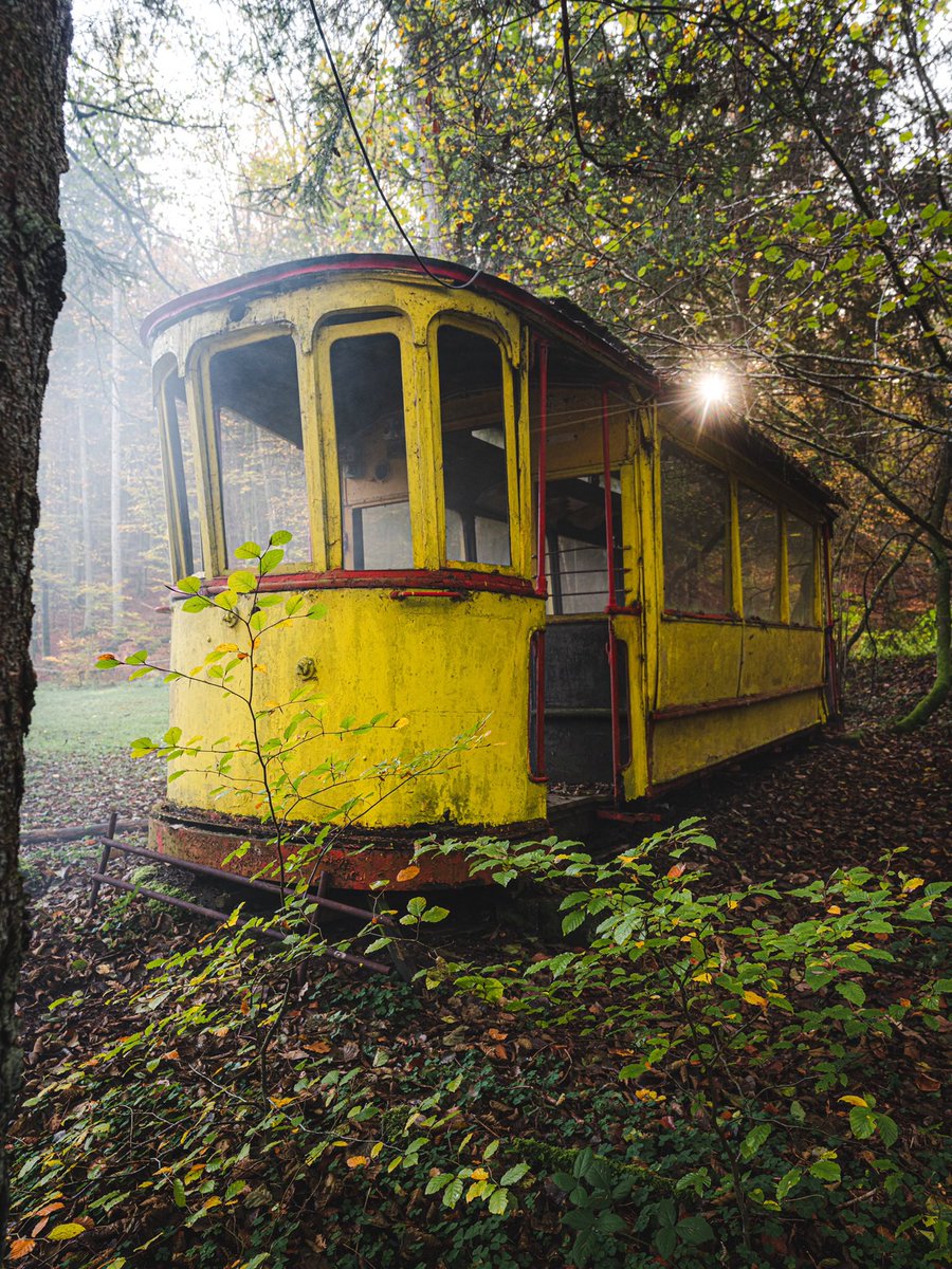 CedricSchell's tweet photo. Un ancien tram de Strasbourg abandonné en pleine forêt dans le Nord de l’Alsace. https://t.co/T1eSNtVTRZ