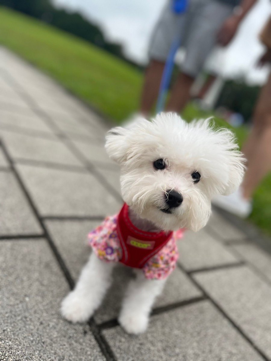 可愛嗎🤪🤪🤪🤪🤪