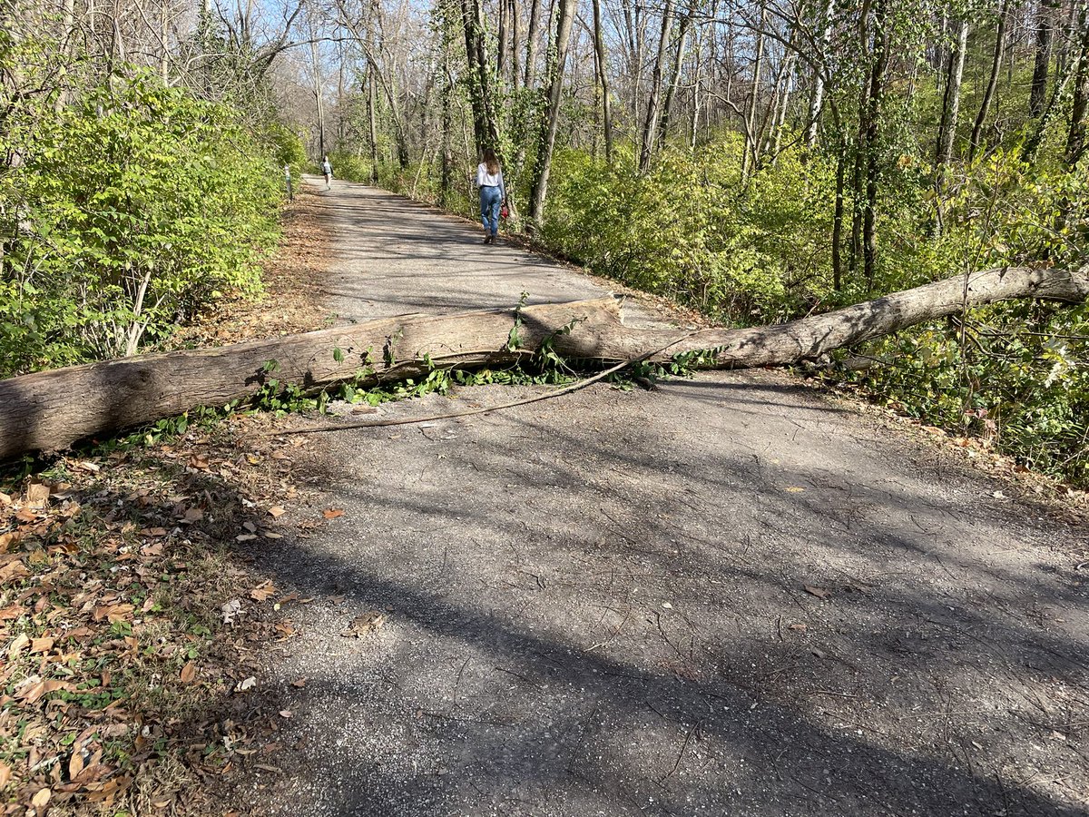 The Hacky Sack Man tweet media