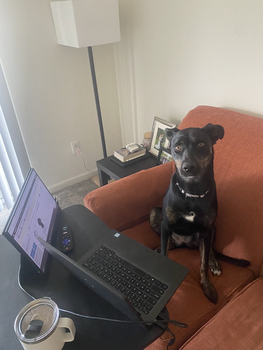 Justin Woods tweet media