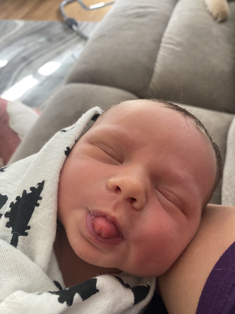 tbwaples's tweet photo. Still can’t believe that we made this handsome boy🥰😍 https://t.co/agEDBGWARe