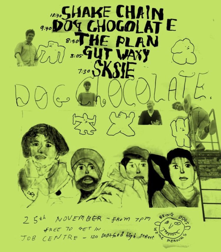 dog chocolate tweet media