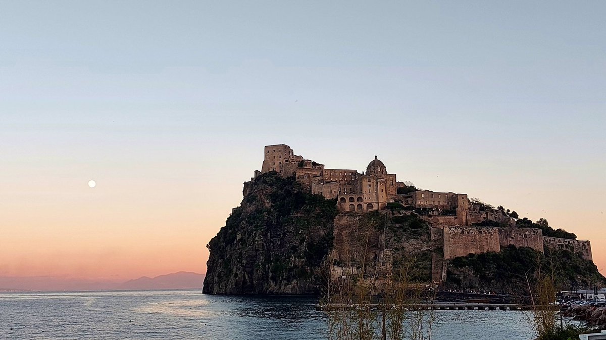 francesca4967's tweet image. La vita si svolge
e mentre si svolge
si addormenta
ed è inutile che provi
a tenerla sveglia
La vita si sveglia
quando capita qualcosa
che ti esalta o ti ferisce.
Devi avere la sensazione
che comincia adesso
o che finisce

Arminio

#PoesiePerLaSera #NotturniDiCittà 
📸mia