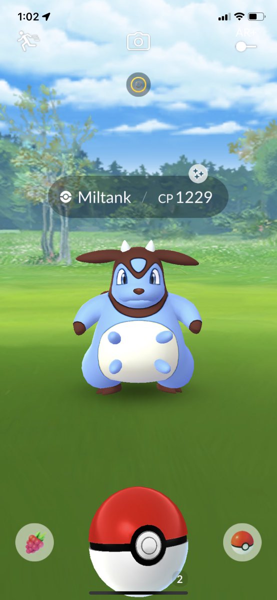 pulse2ways's tweet image. First miltank of the event in GBL