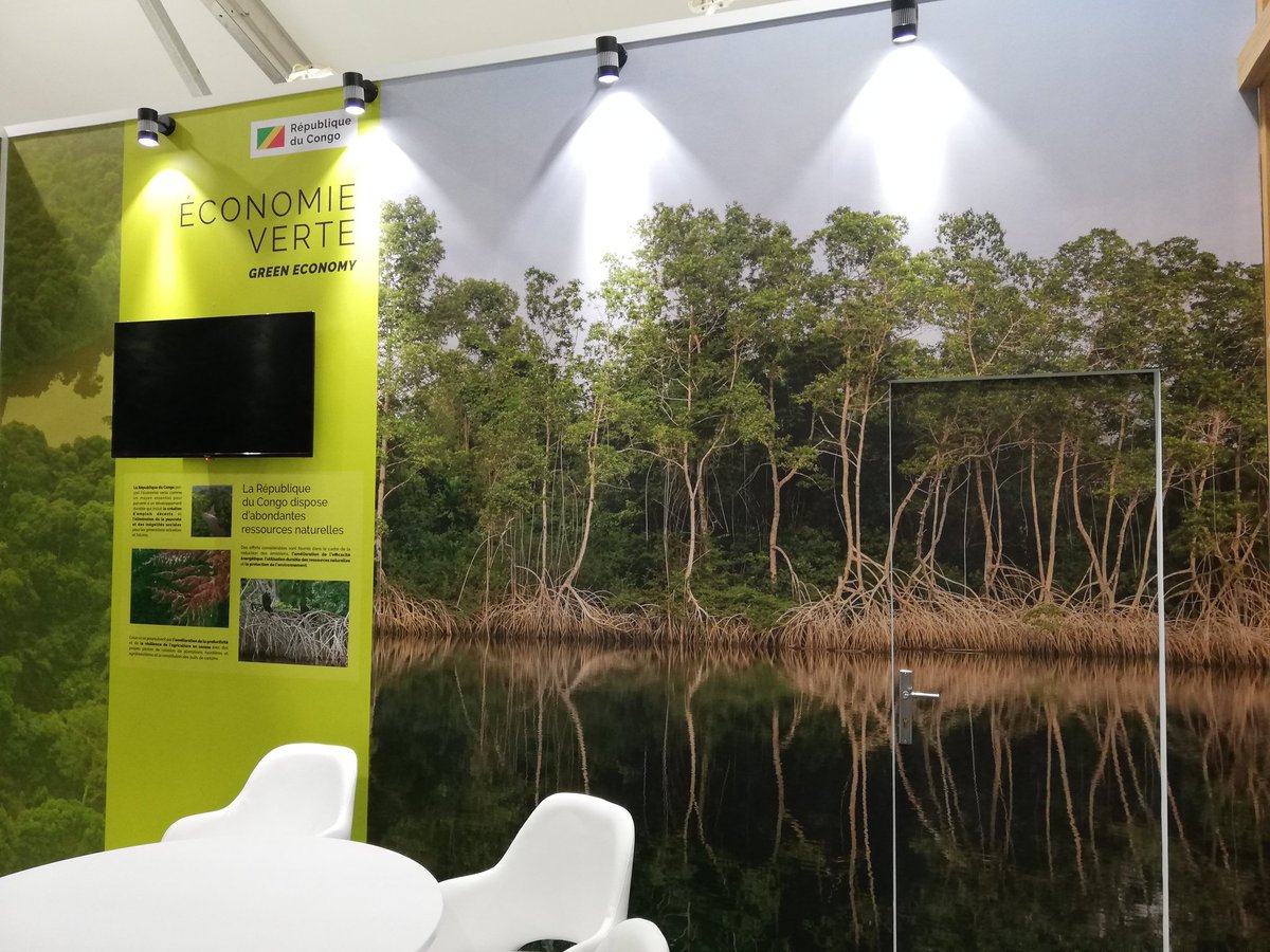 jrein88's tweet photo. #Mangroves at the stand of Republic of Congo! 🌊🌱😍
#COP27
#NatureBasedSolutions
@man_groots https://t.co/zZYO6LOgVg