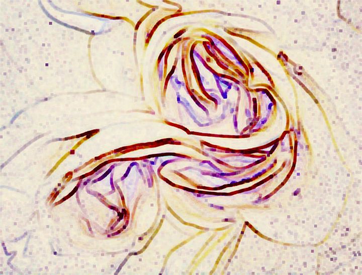 Featured Art of the Day: "Triple Rose". Buy it at: ArtPal.com/JD1?i=128036-4