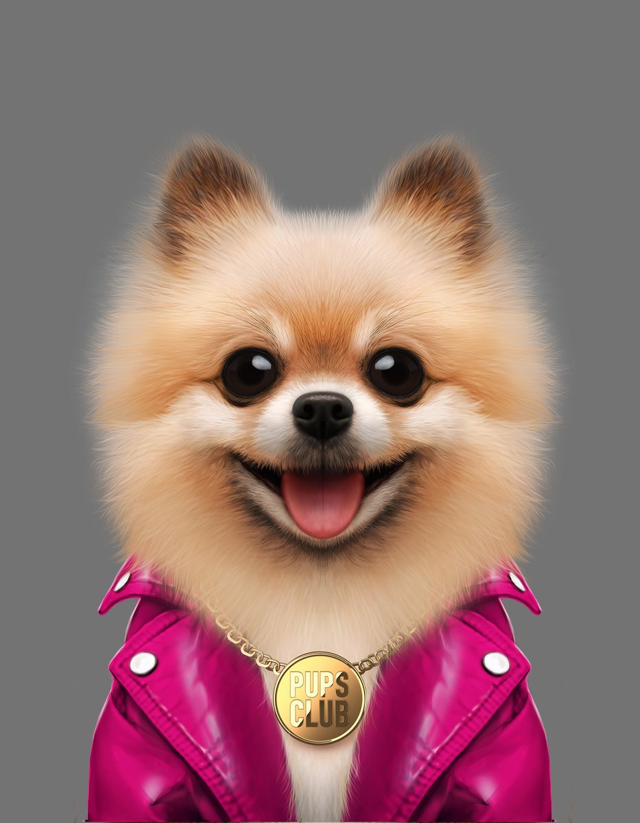 🐶Pomeranian, AKA, Apartment Dog FTW
😎Personality Trait: I think I'm 200 pounds.
👀I am known for: Going anywhere happily. I love to travel, and don't mind doing so in a comfortable handbag or backpack. Paris, you say? Let's go! 
🎟 Adopt Me 👉🏻 bit.ly/3Dbjs5t