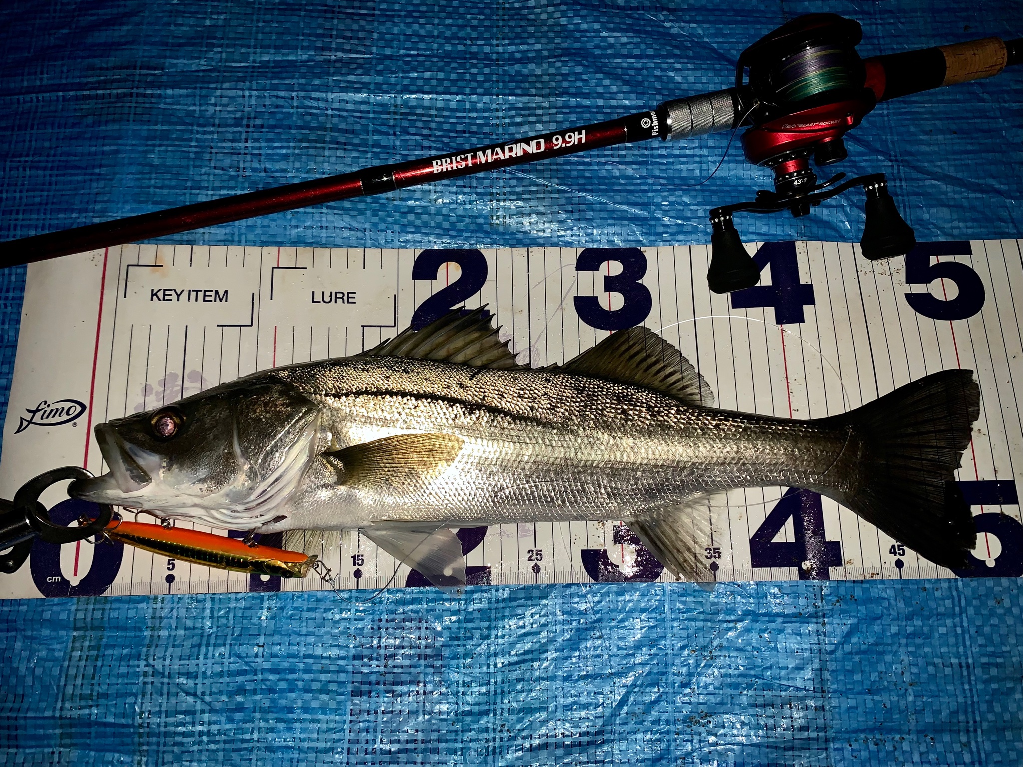 けんぼう 釣りアカ Kenbou Fishing Twitter