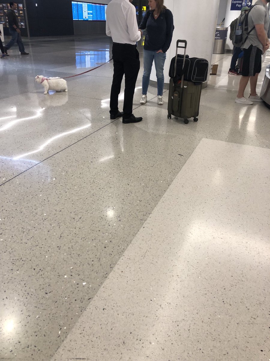 Susan Groeneveld tweet media