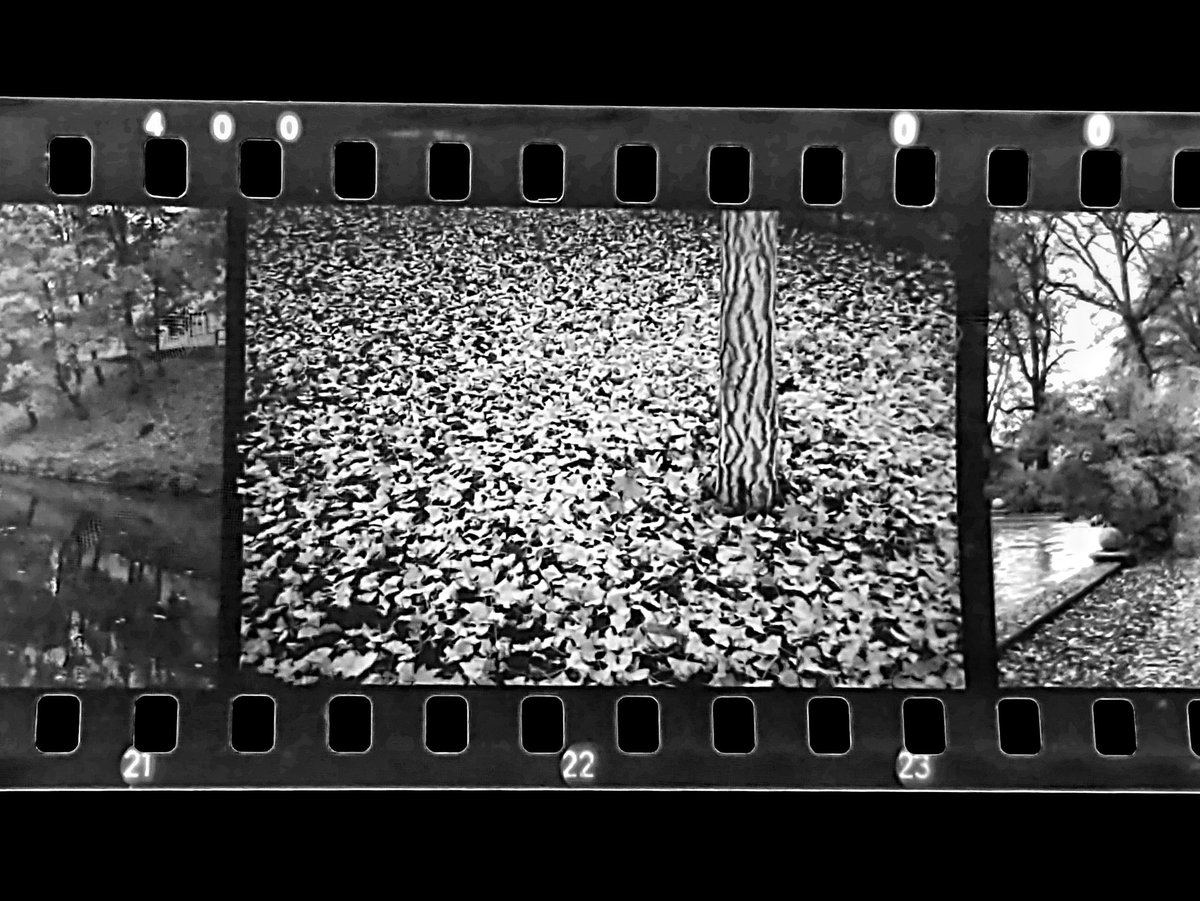 MarkusOrtner's tweet photo. First roll from my flea market find #fujica hd-1. Looks quite promising 👍
#filmisnotdead #believeinfilm https://t.co/1dC59fa04N
