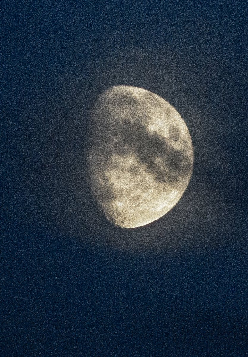 irvingphotog's tweet photo. Mooning. #Amazing #beautiful #beauty #Camera #Flower #Flowers #happy #life #love #PeaceAndLove #photo #picture #photogallery #photographer #photography #picture #PictureOfTheDay #instagood #photooftheday #shapshot #throughthelens #macro #macrophotography #moon #moonlight https://t.co/S6eR1GQ2OB