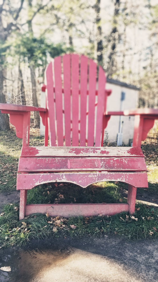 Getting our Vit D each day will be even more important now that clocks fell back. Blue mountain walking trails are a great source on a sunny day.