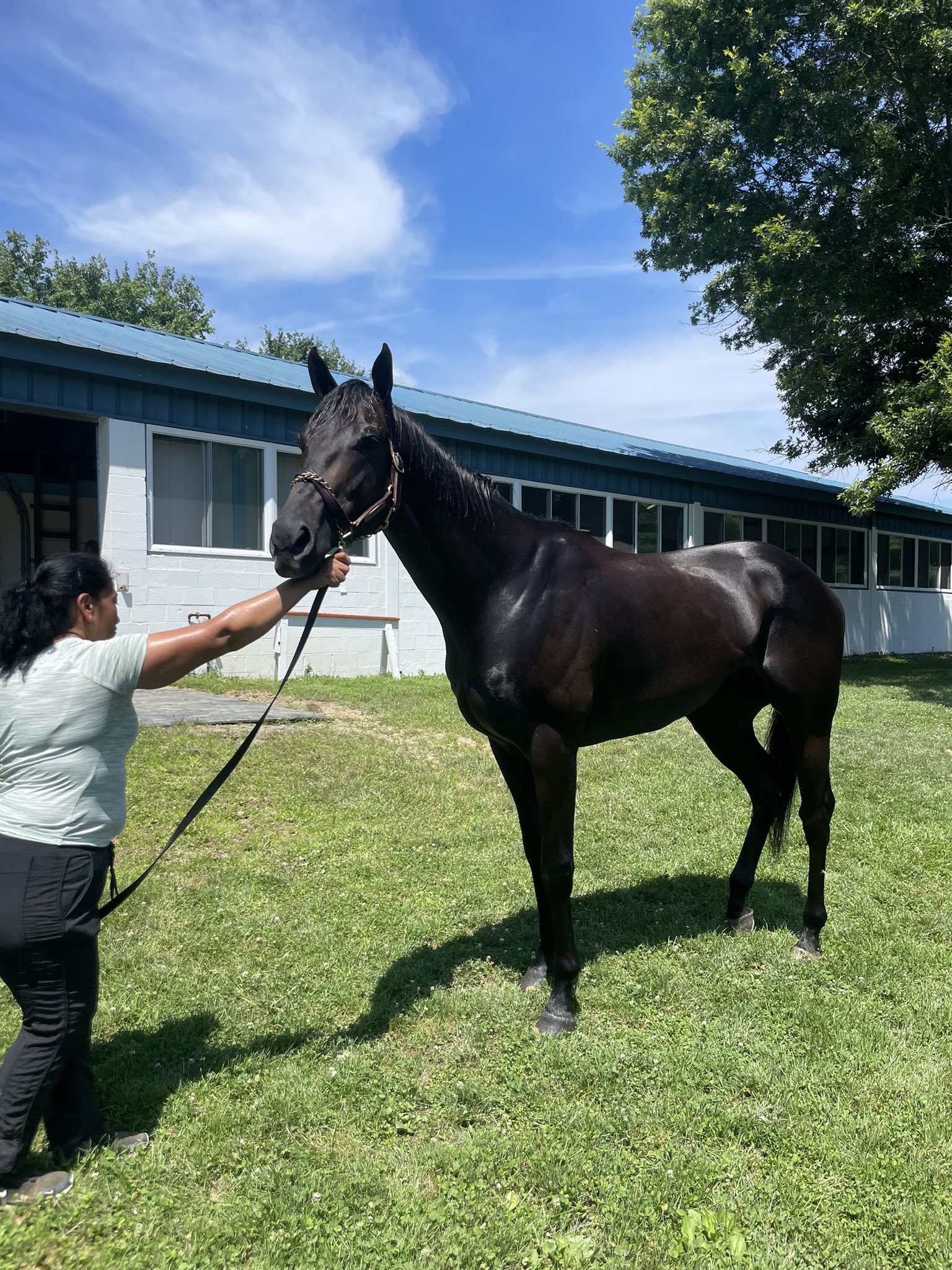 JJ Toner Racing Stable on Twitter "SWING SHIFT makes his second start