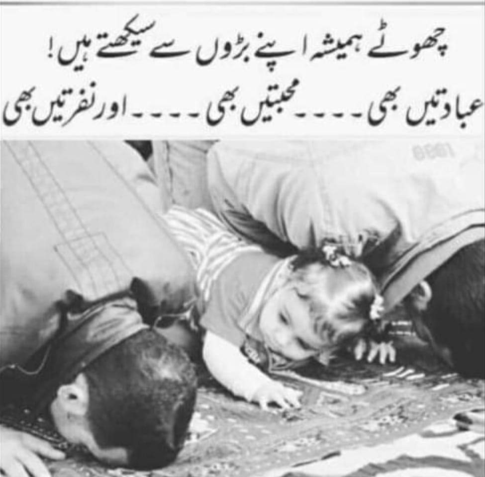 Big lesson for young generation
<a href="/rimshasehr2/">rimshasehr</a>
