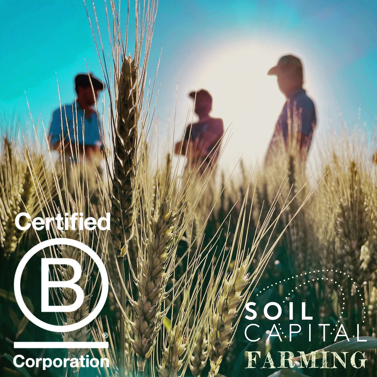 soilcapfarming's tweet photo. Soil Capital Farming is now a certified #BCorp. B stands for Benefits for All: people, communities and the planet 🌍. We are committed to high social and environmental standards. #Bcorporation https://t.co/AsNdXub5ww