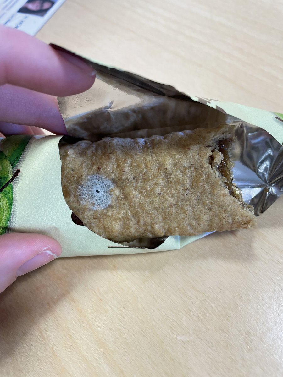 harriet_howes's tweet photo. @AldiUK found in one of your apple fruit grain bars from a fresh open box dated to expire Jan 2024. Disgusting. https://t.co/8SGJ4D2Dd0