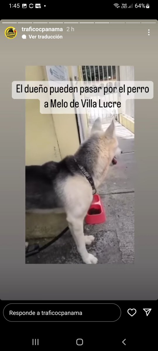 Milagros VS  (@kimesin22) on Twitter photo 