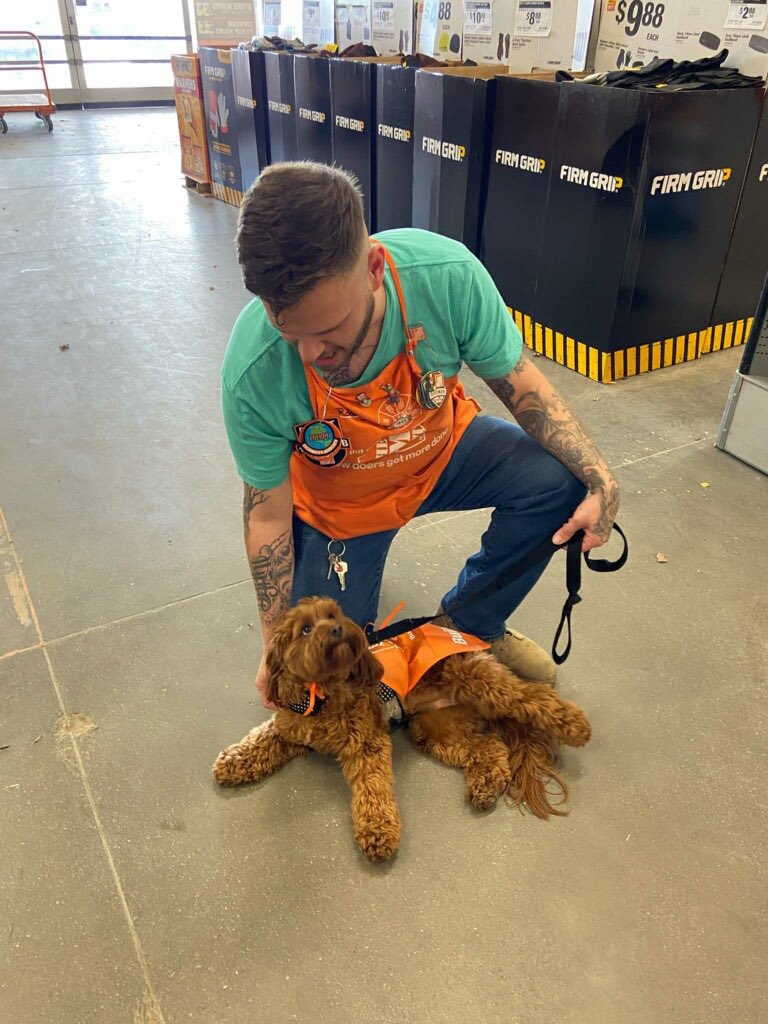 Rodney training our new cashier Zoe! Well done! @rachs68 <a href="/Carlos_A_Hnndz/">Carlos Hernandez</a> <a href="/shellishel20/">Michelle schoneboom</a> <a href="/defranco1586/">josh defranco</a> <a href="/AmandaG32363187/">Amanda Glass</a>