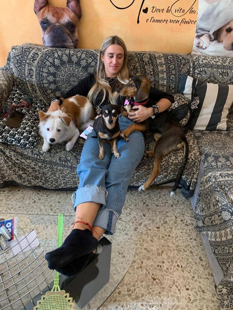 ImprontaC's tweet photo. Questa piccola segugetta che vedete in foto è stata molto fortunata! 
Sì perchè appena arrivata in canile, aveva già trovato adozione! 
Eh già, chi l'ha ritrovata vagante e spaurita per strada non ha saputo né voluto dimenticarsi di lei e si è detto...non c'è due senza tre! https://t.co/r5nFFnDCme