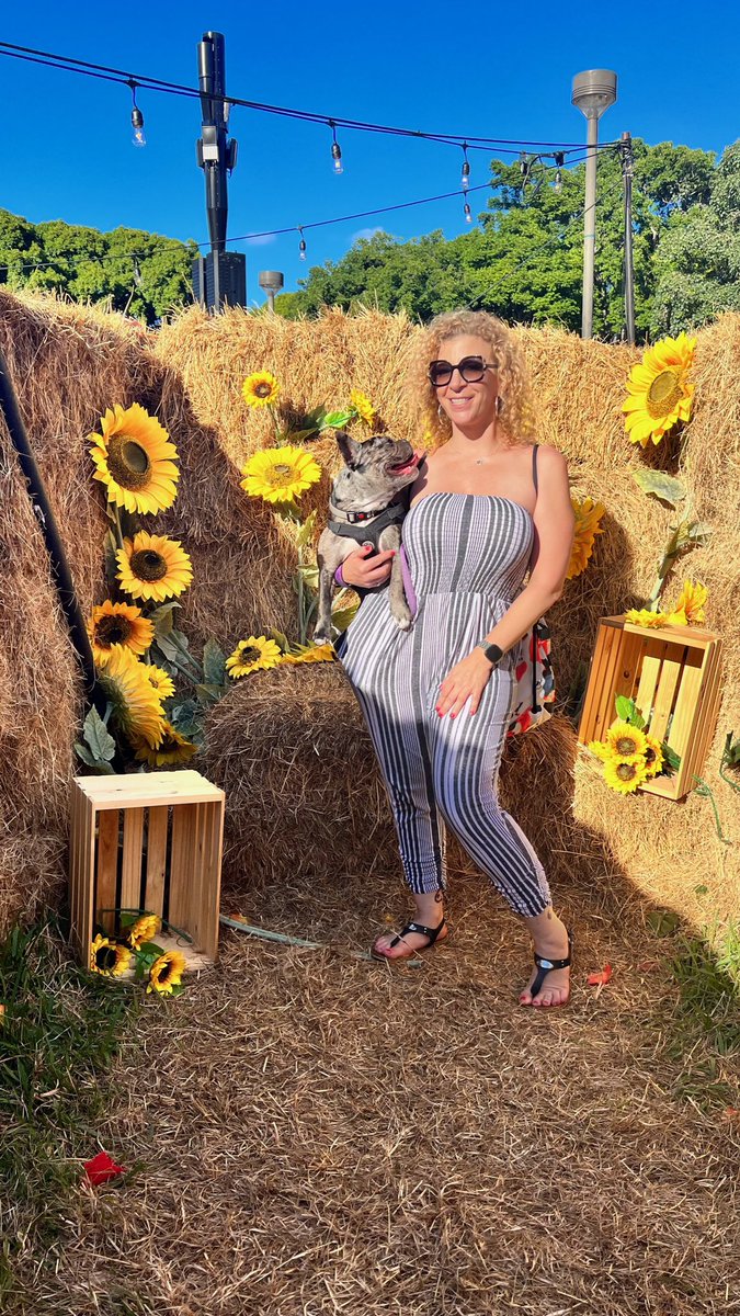 SaraJayXXX's tweet photo. Light-enchanted sunflower, thou/ Who gazest ever true and tender/ On the sun’s revolving splendour

— Pedro Calderón de la Barca https://t.co/Rh8QUHuBLY