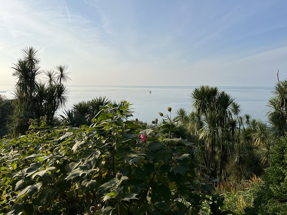 interpret's tweet image. Arrival to Batumi Botanical Garden on the Black Sea for a two-day workshop supporting the development  of @EE Programs in the region