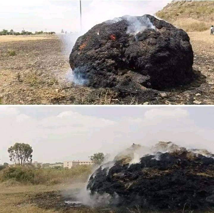 MellathM's tweet photo. #TigrayUnderAttack 💔😭💔
#2YearsOfTigrayGenocide
#StopWarOnTigray
#eritreantroopsoutoftigray
#FreeTigray
#SecBlinkenActNow
#POTUSactNow
#JusticefortigrayPeople
The Worst military and genocider Eretria military, Amhara special forces, AmharaFano, all together they burn 💔 https://t.co/pPbNlS7W9i
