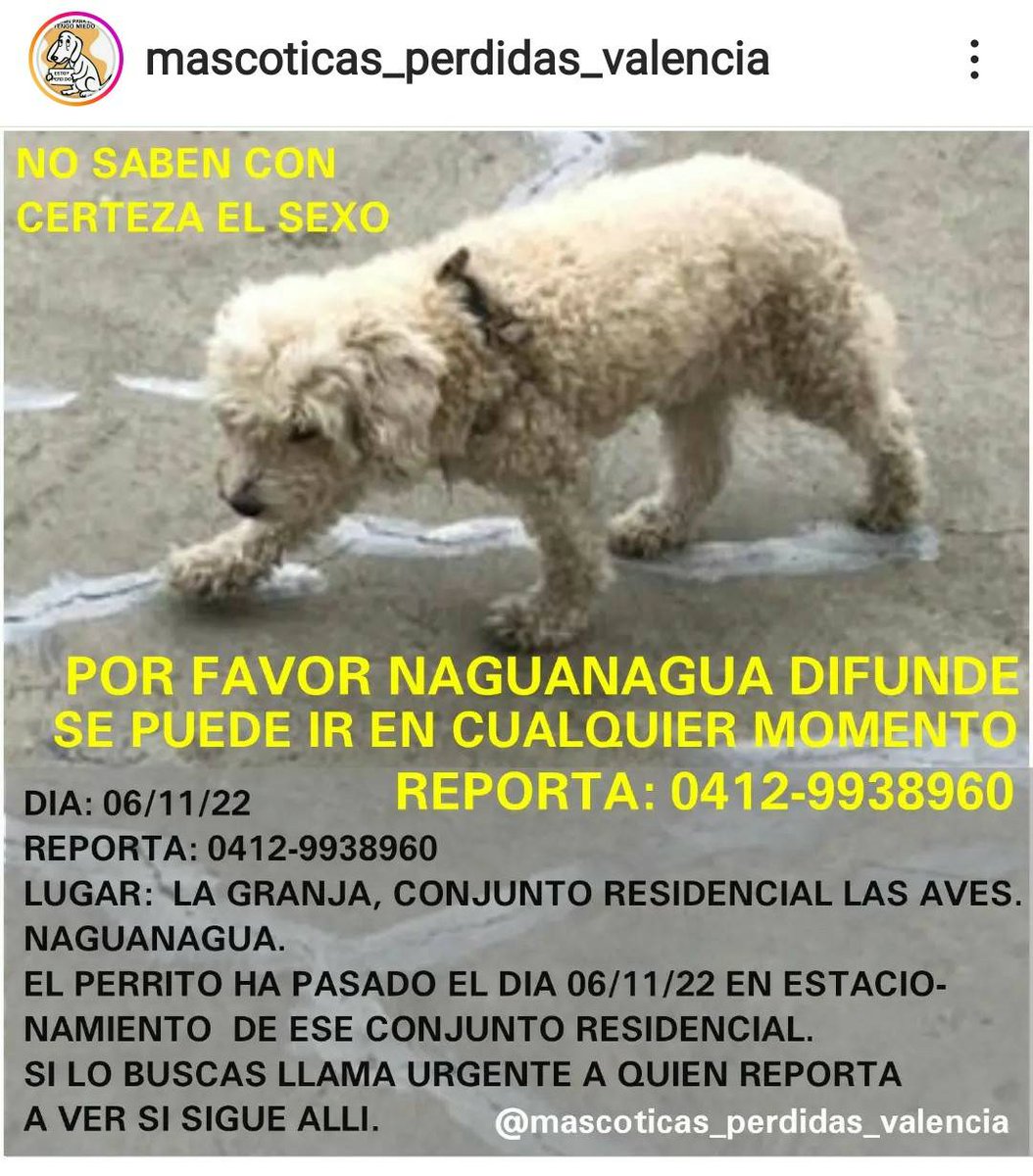 Se presume está #EXTRAVIADO NAGUANAGUA Carabobo