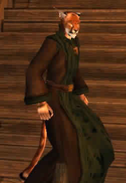 nauticalunless2's tweet image. Un Khajiit autrefois fier qui, par la solitude et la manipulation, est devenu victime d'une subjugation impériale.