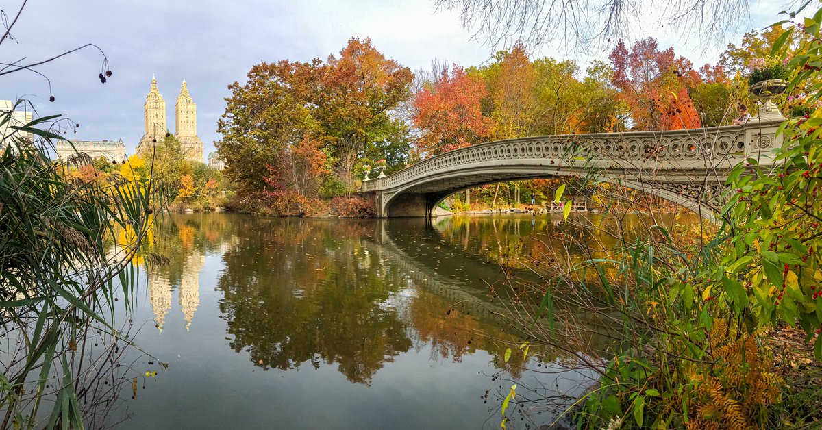 This morning at The Lake @CentralParkNYC #NYC #FallForNYC 🍃🍂🍁#CentralParkFoliageWatch