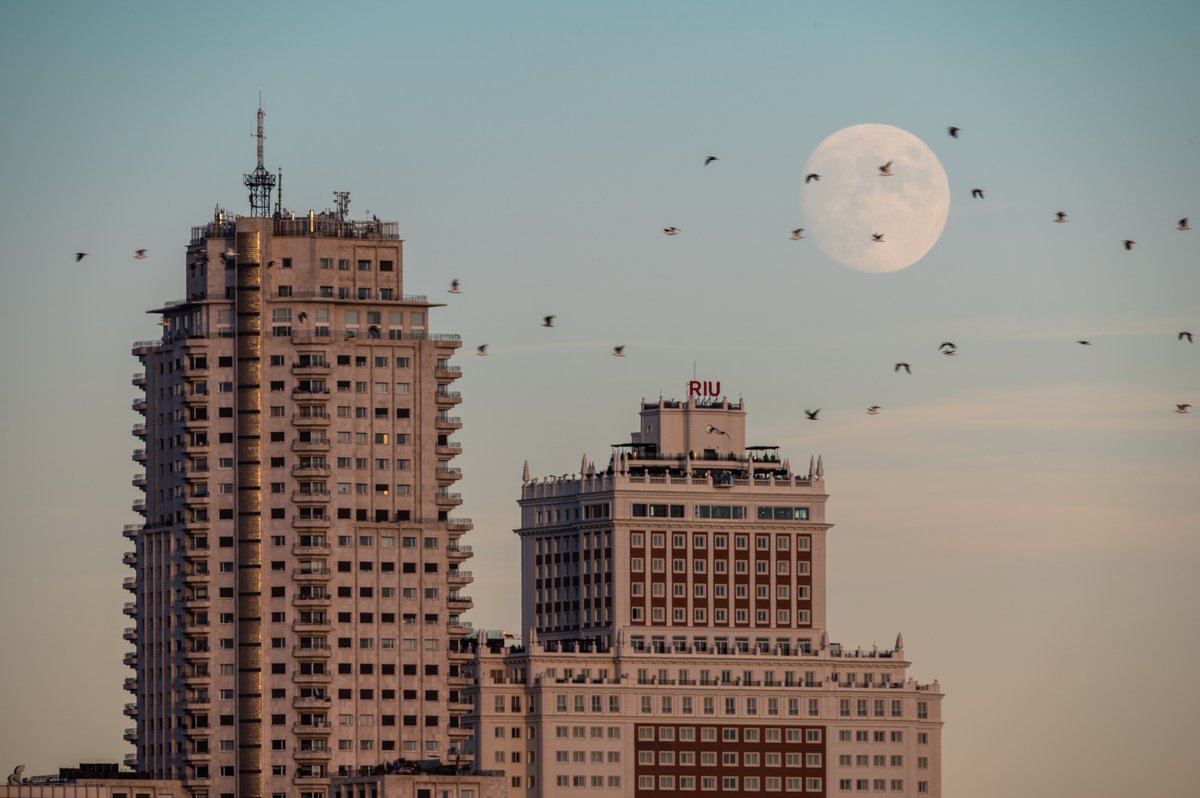 piensaenpixel's tweet photo. La planificación de la luna ha salido clavada, incluso algunos pájaros y algún avión nos han echado una mano https://t.co/oi4o2DMUGG