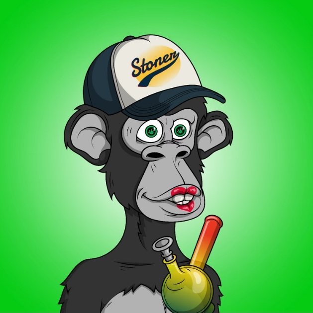 #NewProfilePic @StonedApesNFT #StonedApeClub #STAC $TOKE https://t.co/gOB7hWoqOl
