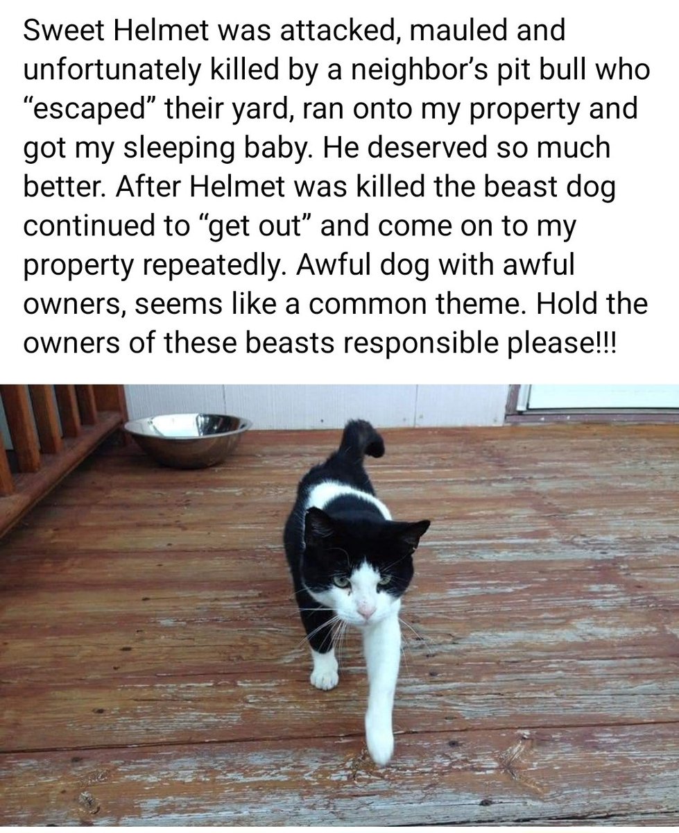 Helmet😪