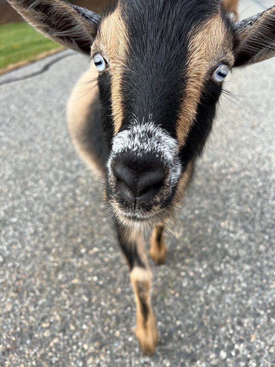 Daniel Bergstresser tweet media