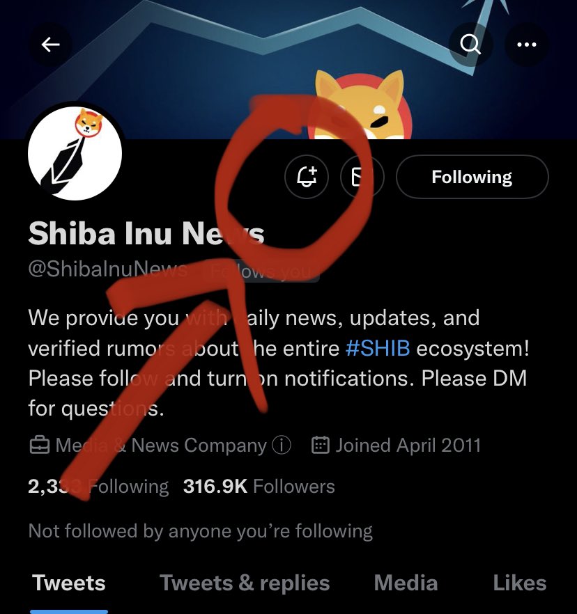 Shiba Inu News tweet media
